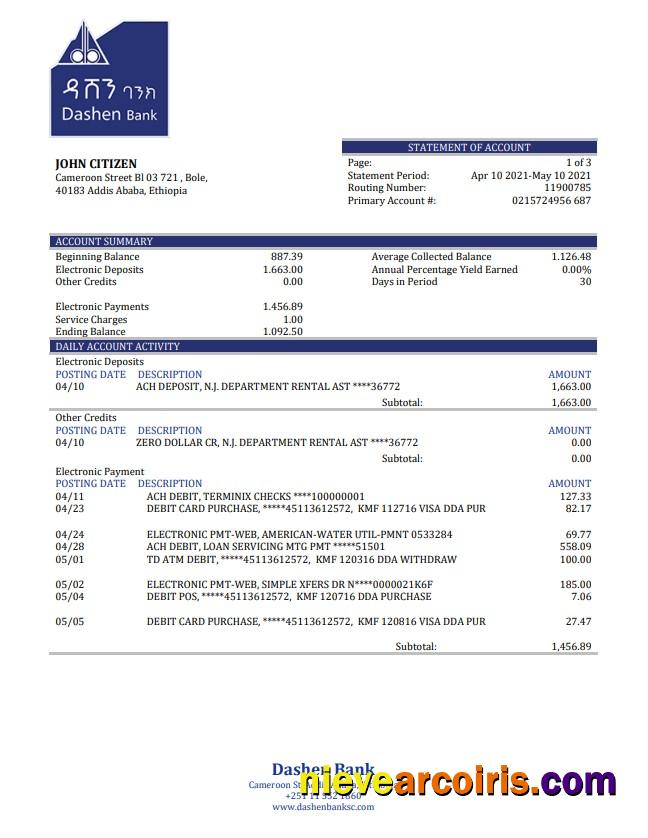 Ethiopia Dashen Bank statement